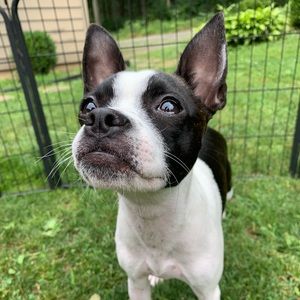 Meet your Posher, Umbrella